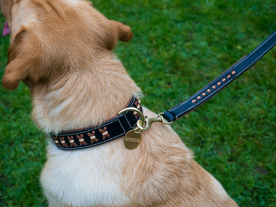 Dogue - Man Leather Collar Collection