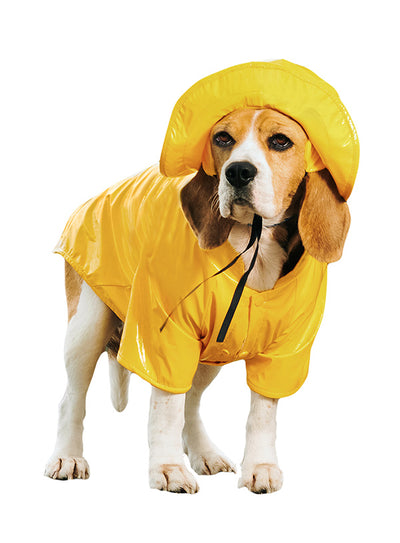 Gromit's Rain Coat and Sou'wester