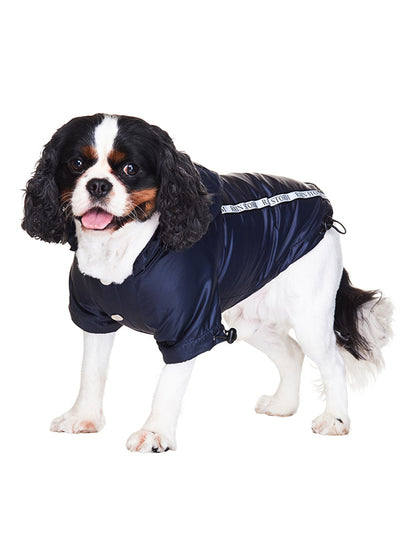 Here at Smiley Myley is our new Ink Blue Rainstorm Raincoat which will protect your Dog from rain