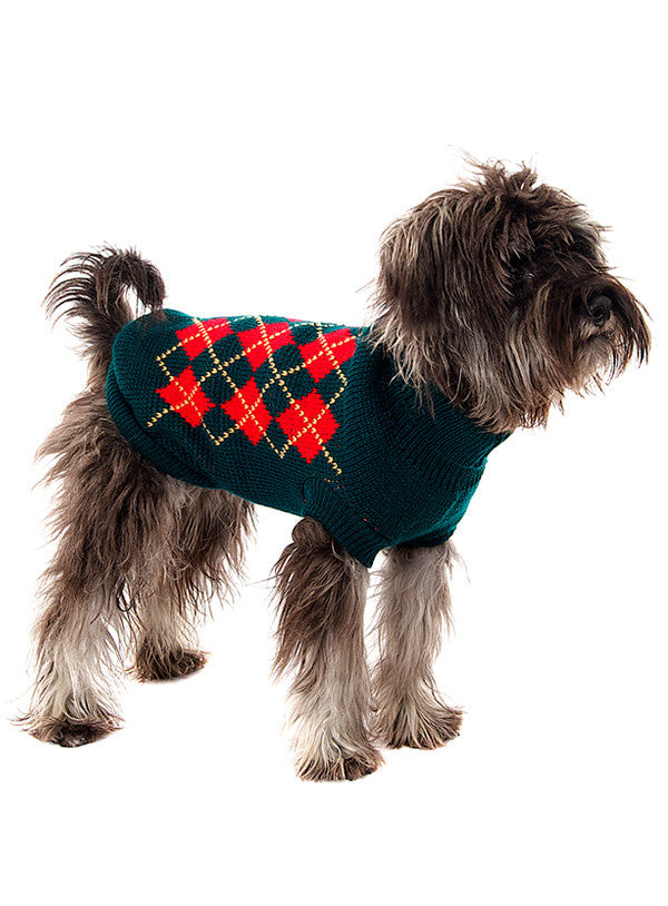 Argyle dog sweater shop