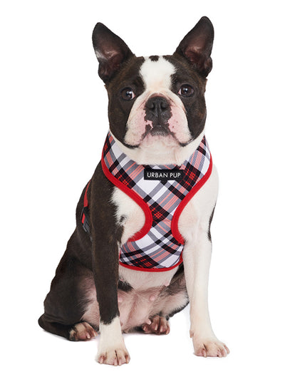 Red & white Plaid Harness
